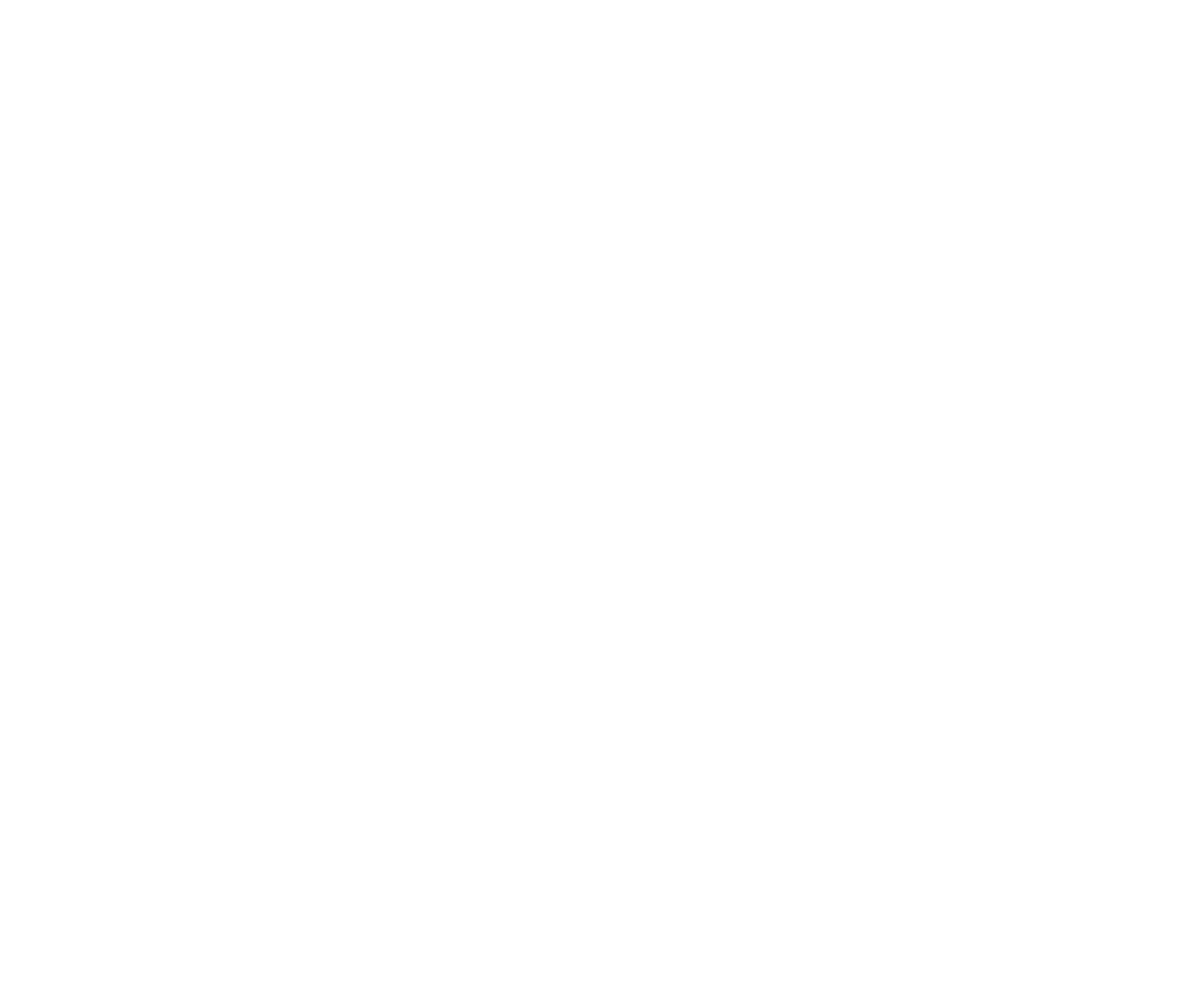 Supreme Twins Foundation